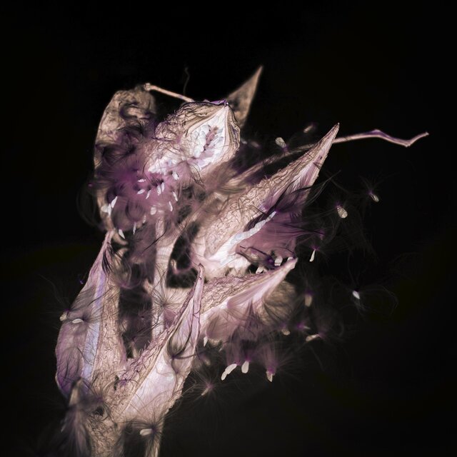 Glass Aviary Remixes