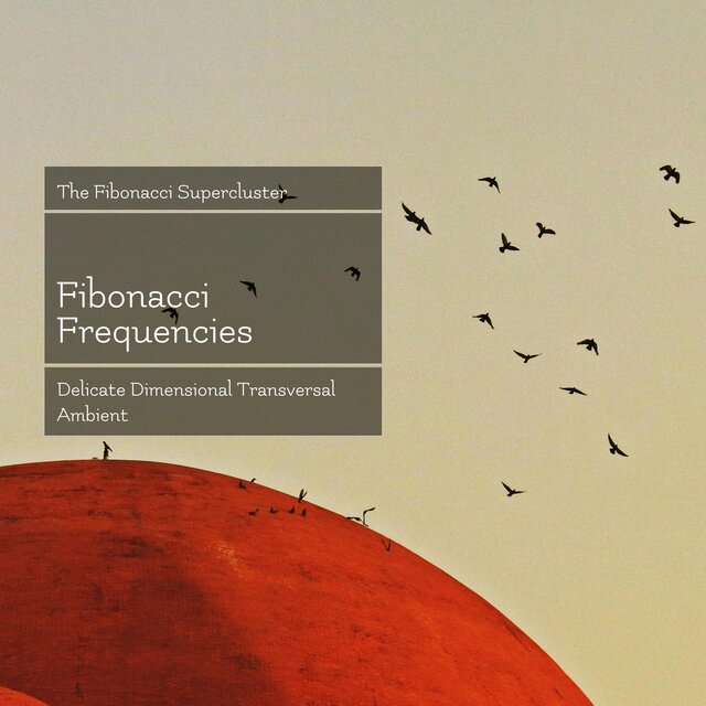 Delicate Dimensional Transversal