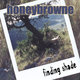 Cover art for album Finding Shade by Honeybrowne