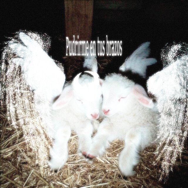 Pudrirme en tus brazos