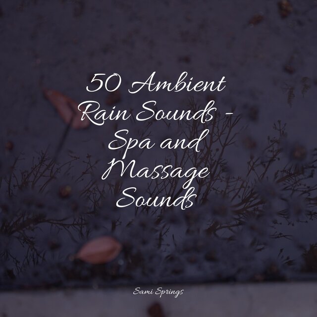 50 Ambient Rain Sounds - Spa and Massage Sounds