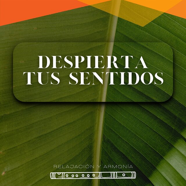 Despierta Tus Sentidos