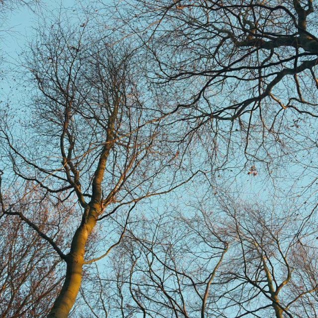 Konka: Collected Ambient Vol I