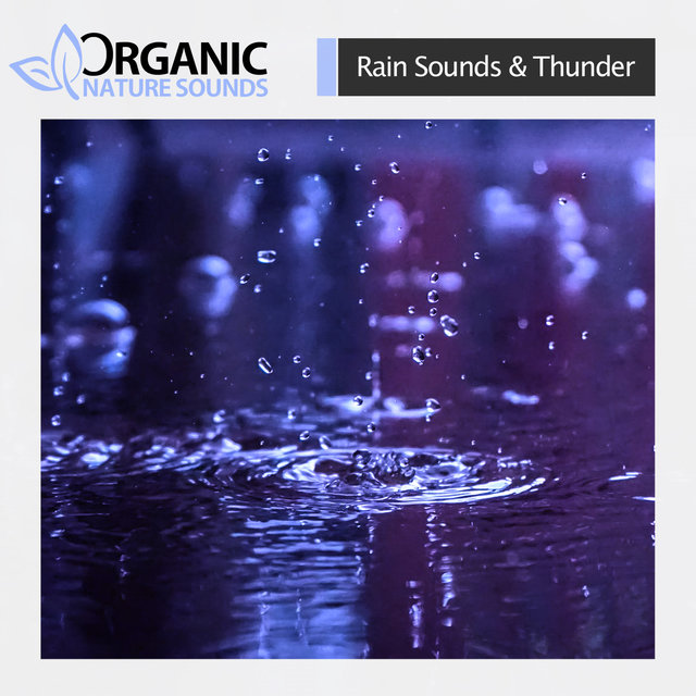 Rain Sounds & Thunder