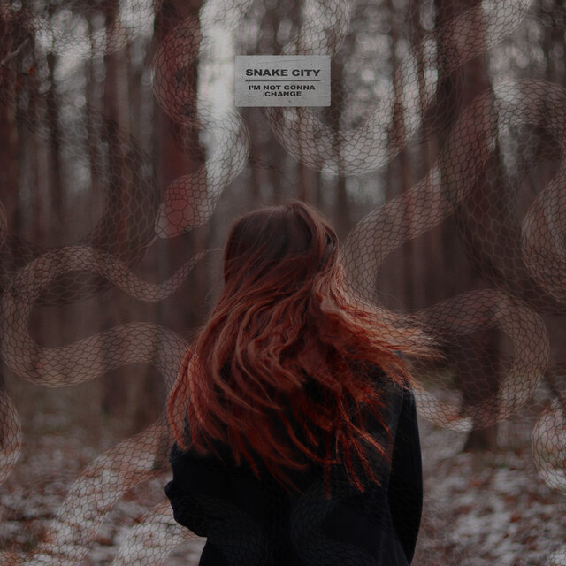 I'm Not Gonna Change