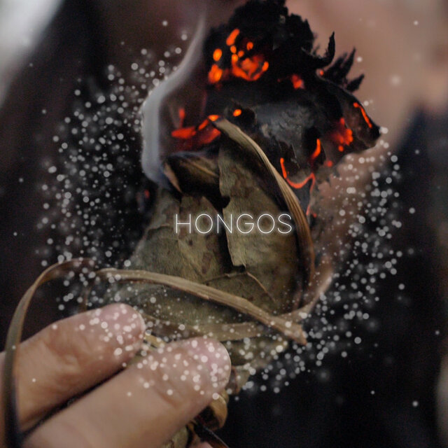 Hongos