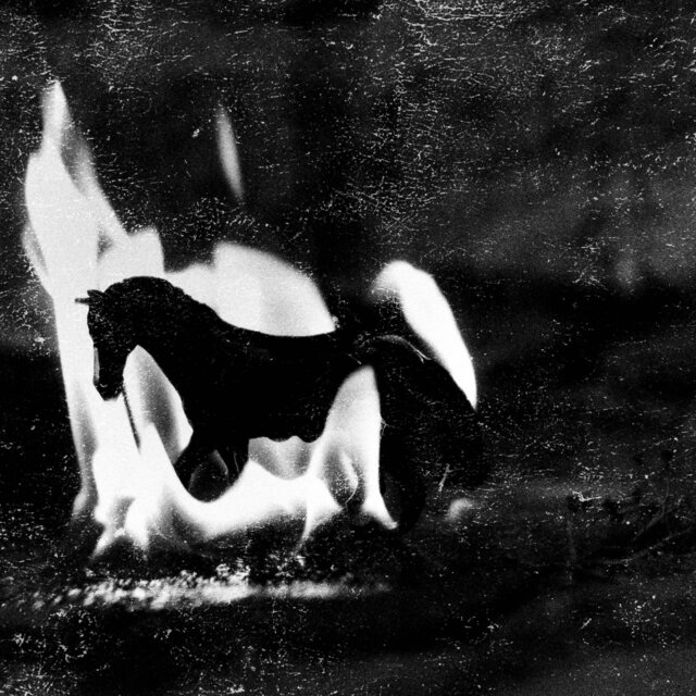 The Horse Is Dead