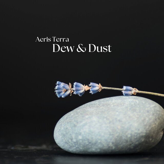 Dew & Dust (Solstice in Stillness)