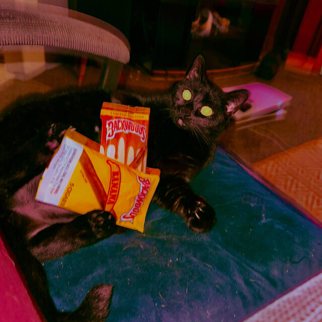THE MIDNIGHT DEALER!