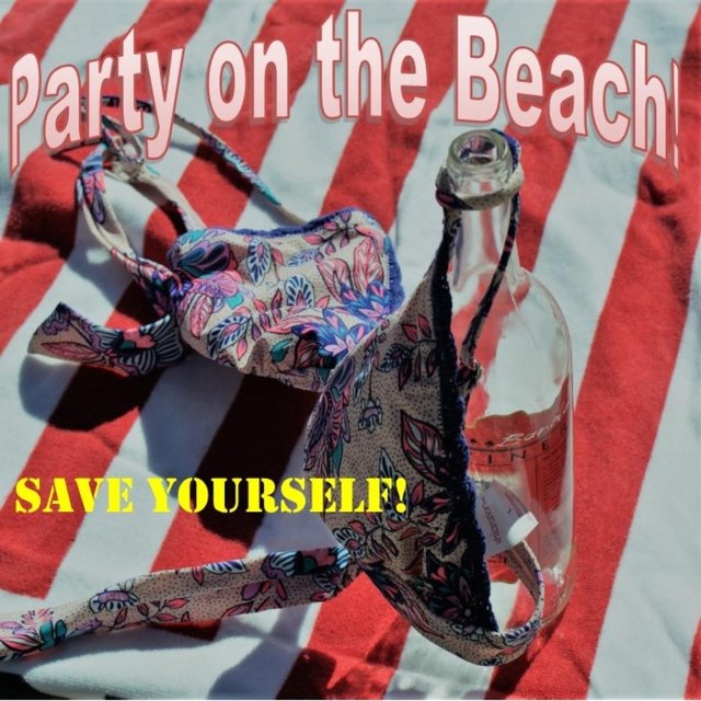 Party on the Beach