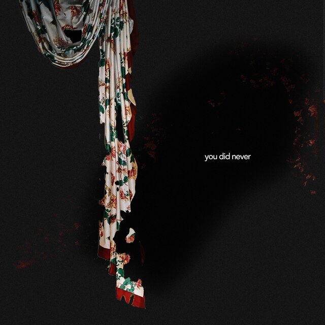 you did never