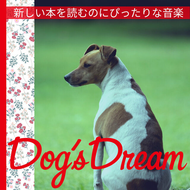 新しい本を読むのにぴったりな音楽
