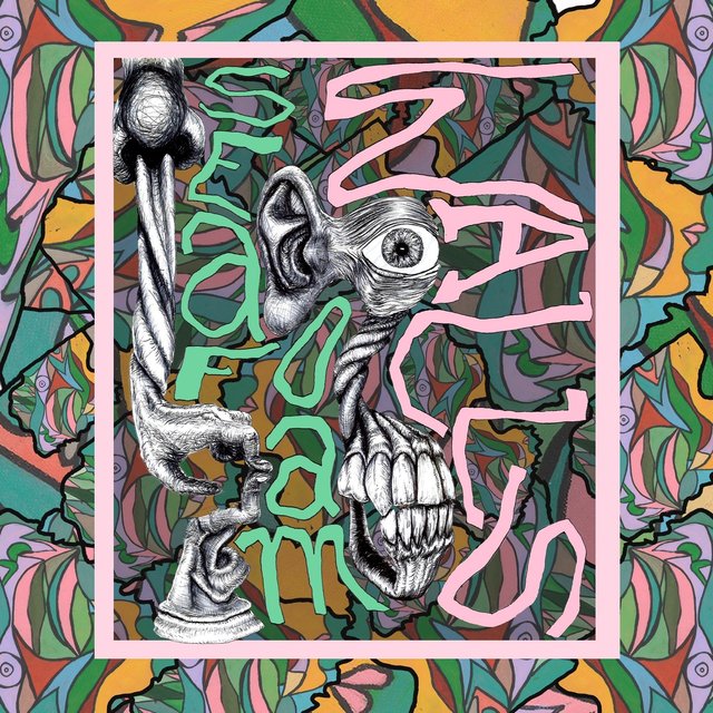 XVi