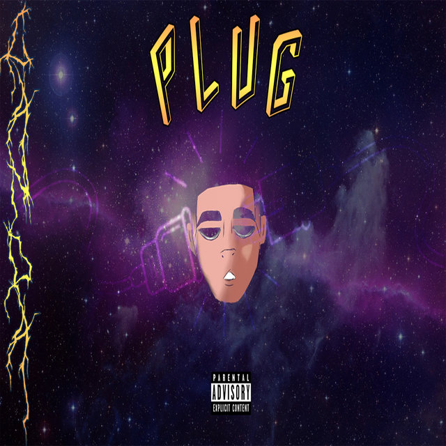 Plug