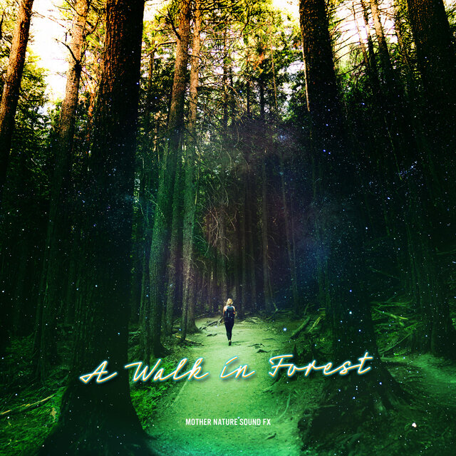 A Walk in Forest