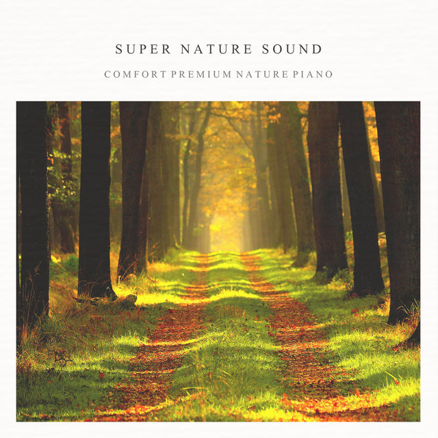 Super Nature Sound (Rain & Piano)