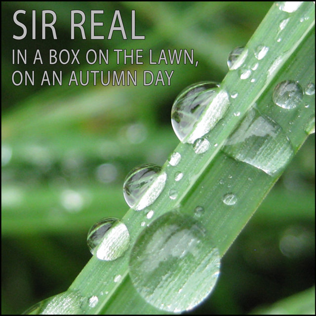 In a box on the lawn, on an Autumn day