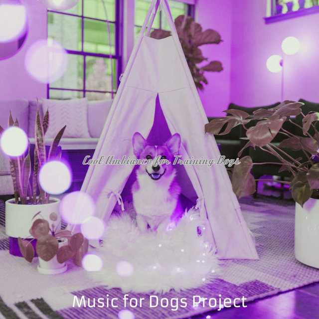 Cool Ambiance for Training Dogs