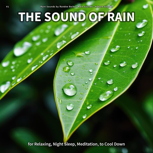 #1 The Sound of Rain for Relaxing, Night Sleep, Meditation, to Cool Down