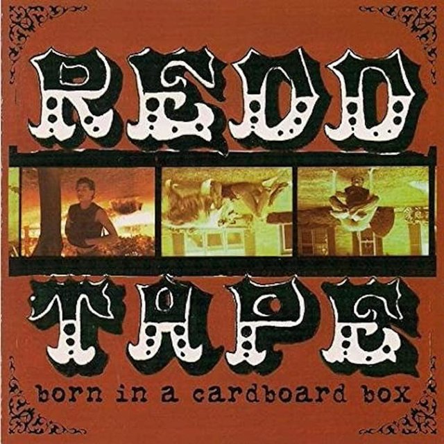 Born In A Cardboard Box