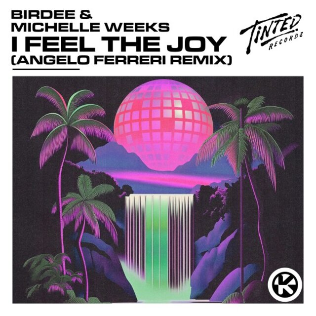 I Feel The Joy (Angelo Ferreri Remix)