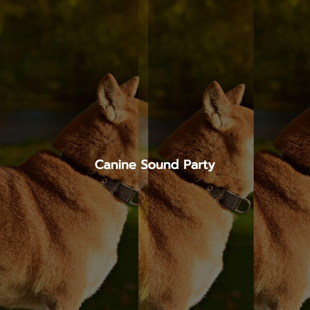 Canine Sound Party