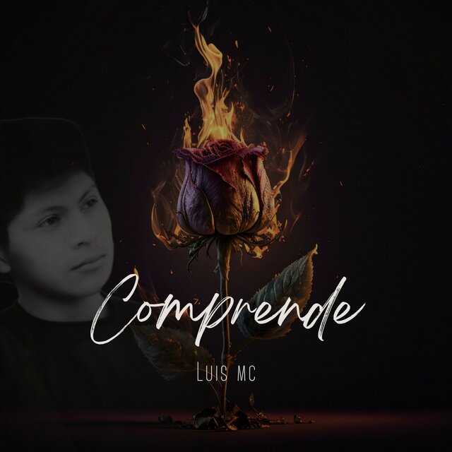 COMPRENDE