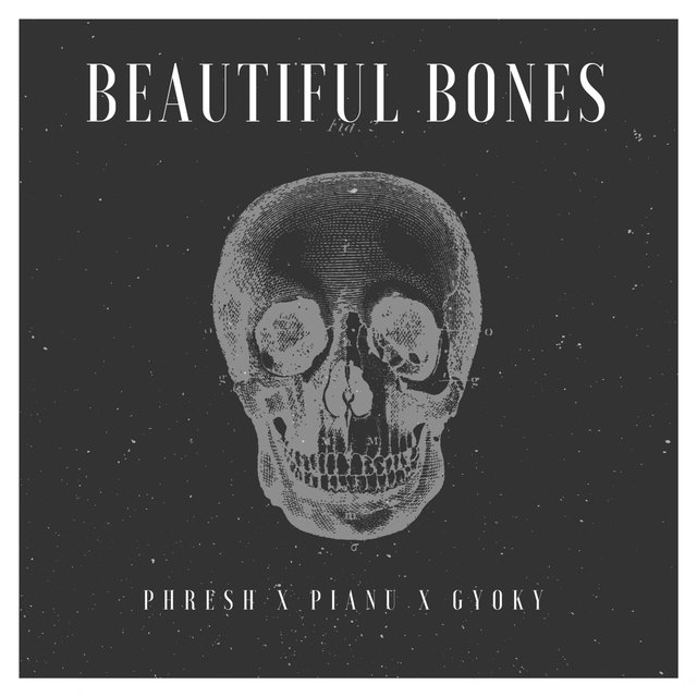 Beautiful Bones