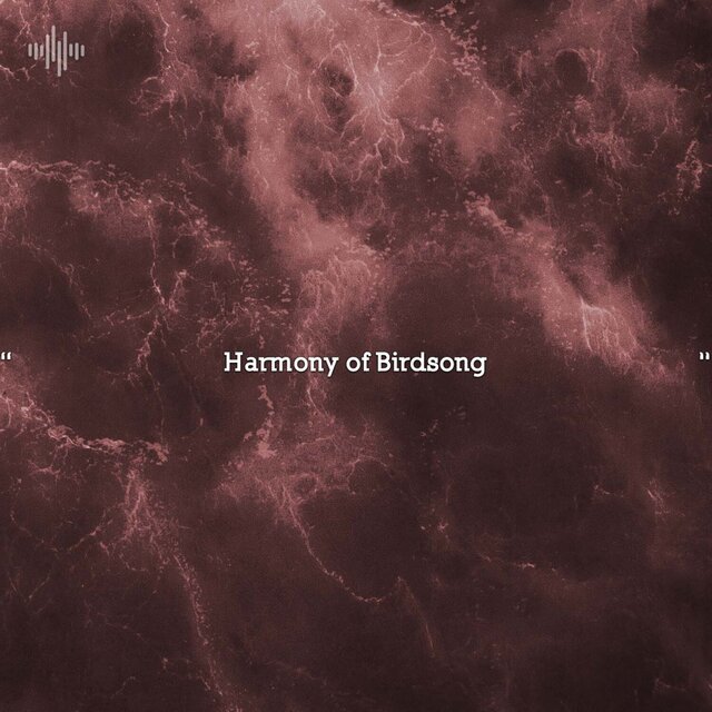 " Harmony of Birdsong "