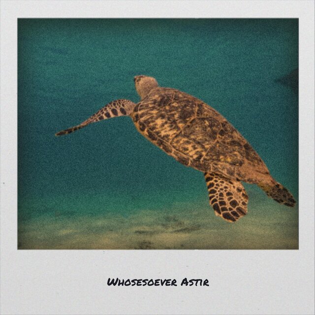 Whosesoever Astir