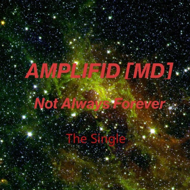 Not Always Forever (The Single)