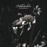 Nachtblume
