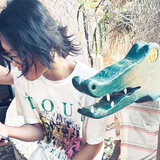 alligator