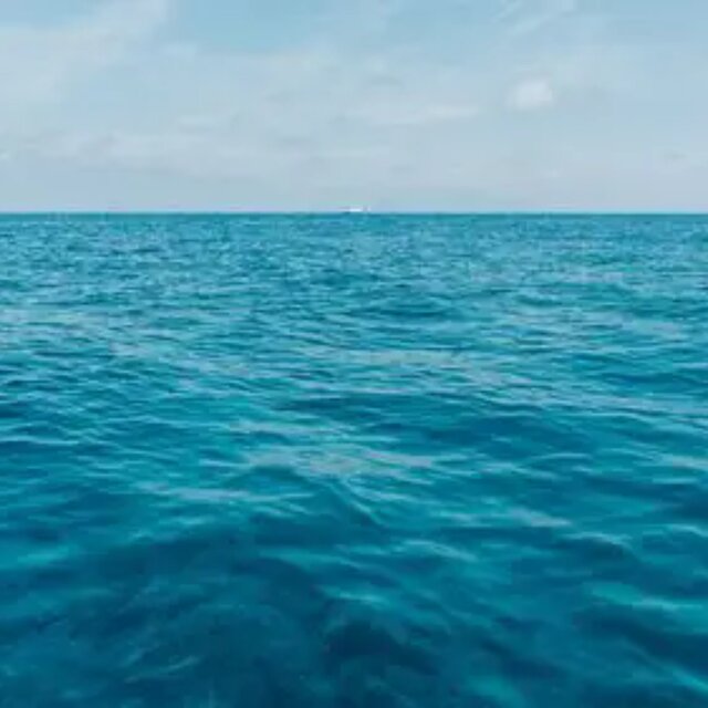 大海
