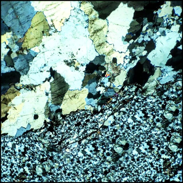 Bronco (demos)