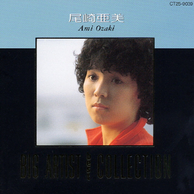 Big Artist Best Collection Ami Ozaki