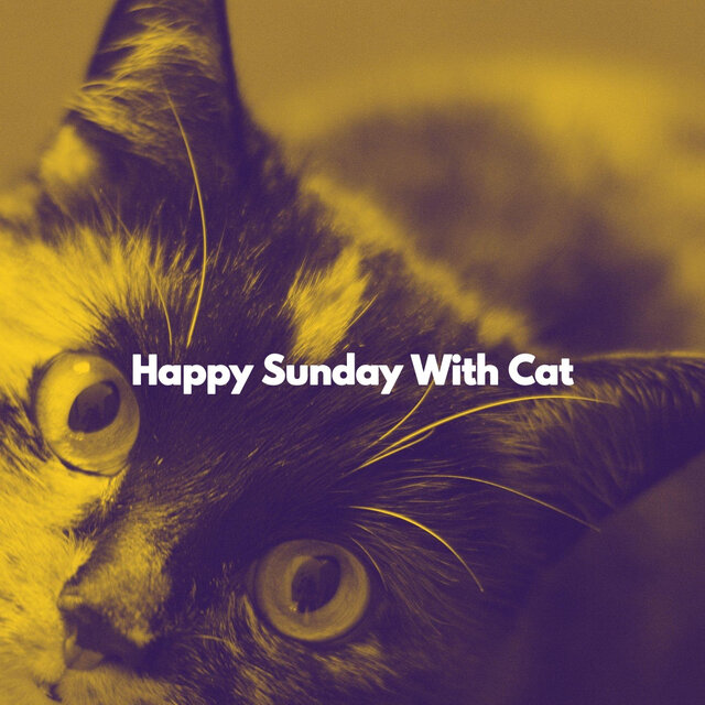 Happy Sunday With Cat