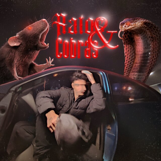 Ratos e cobras
