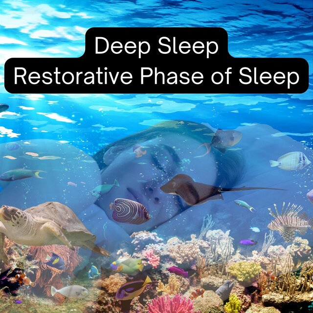 Deep Sleep: Restorative Phase of Sleep