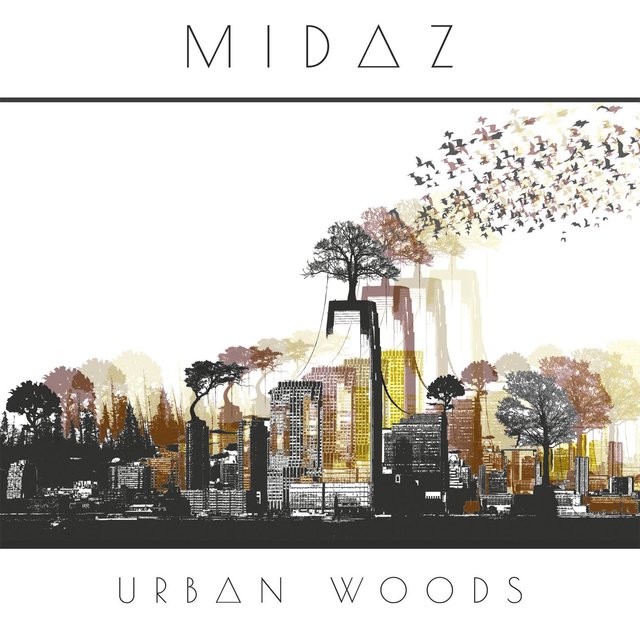 Urban Woods