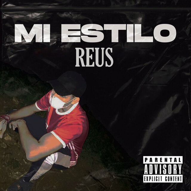 Mi Estilo