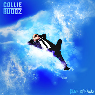 blue photo albums