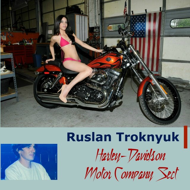 Harley-Davidson Motor Company Sect