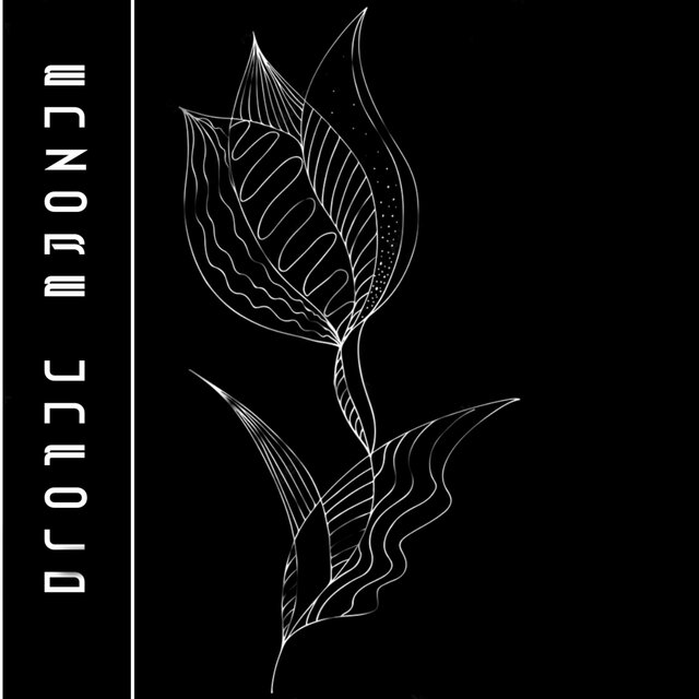 Unfold