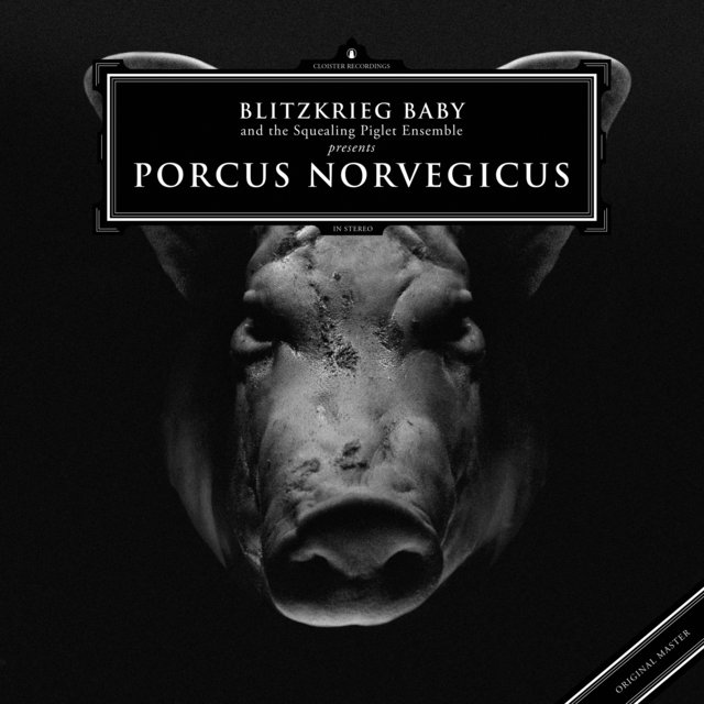 Porcus Norvegicus