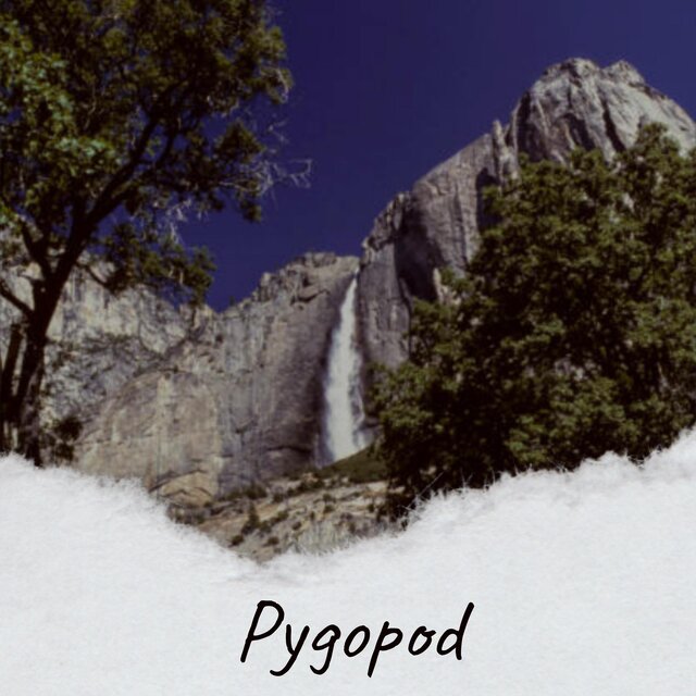 Pygopod