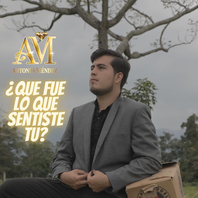 ¿Que Fue Lo Que Sentiste Tu?