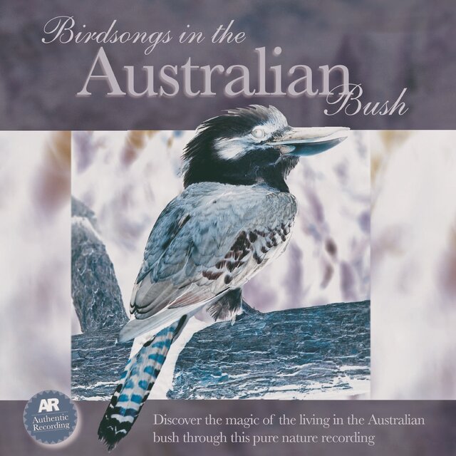 Birdsongs in the Australian Bush