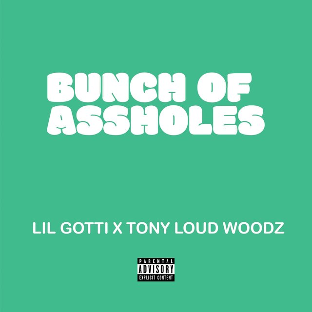 Bunch Of Assholes (feat. Lil Gotti)
