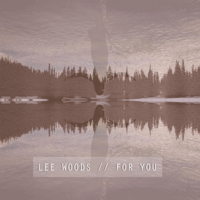 For You (feat. Bradford Snow)